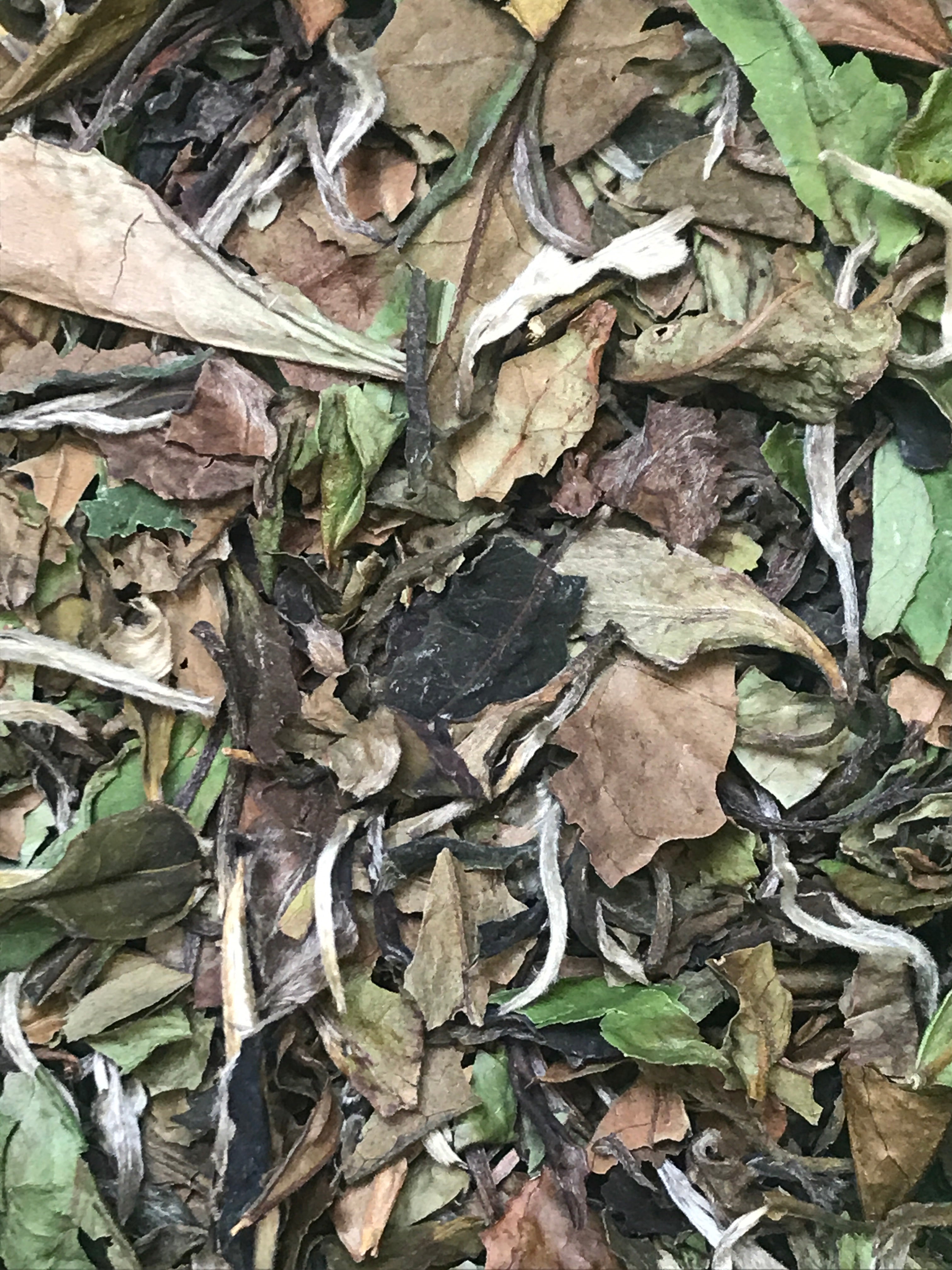 China pai mu tan 70g